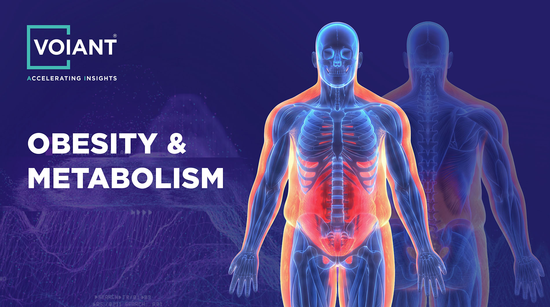 Voiant obesity expansion promo graphic obesity and metabolism metabolic disorders GLP-1s dual agonists semaglutides clinical trial imaging CRO endpoint body composition muscle quality organ health visceral vs adipose fat distribution